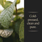 COOKS Spearmint Extract for Baking and Beverages, 8 Fl Oz