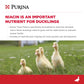 Purina Duck Feed For All Life-Stages | 40 Pound (40 Lb.) Bag