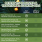 100% Palm Oil - 16 Fl Oz