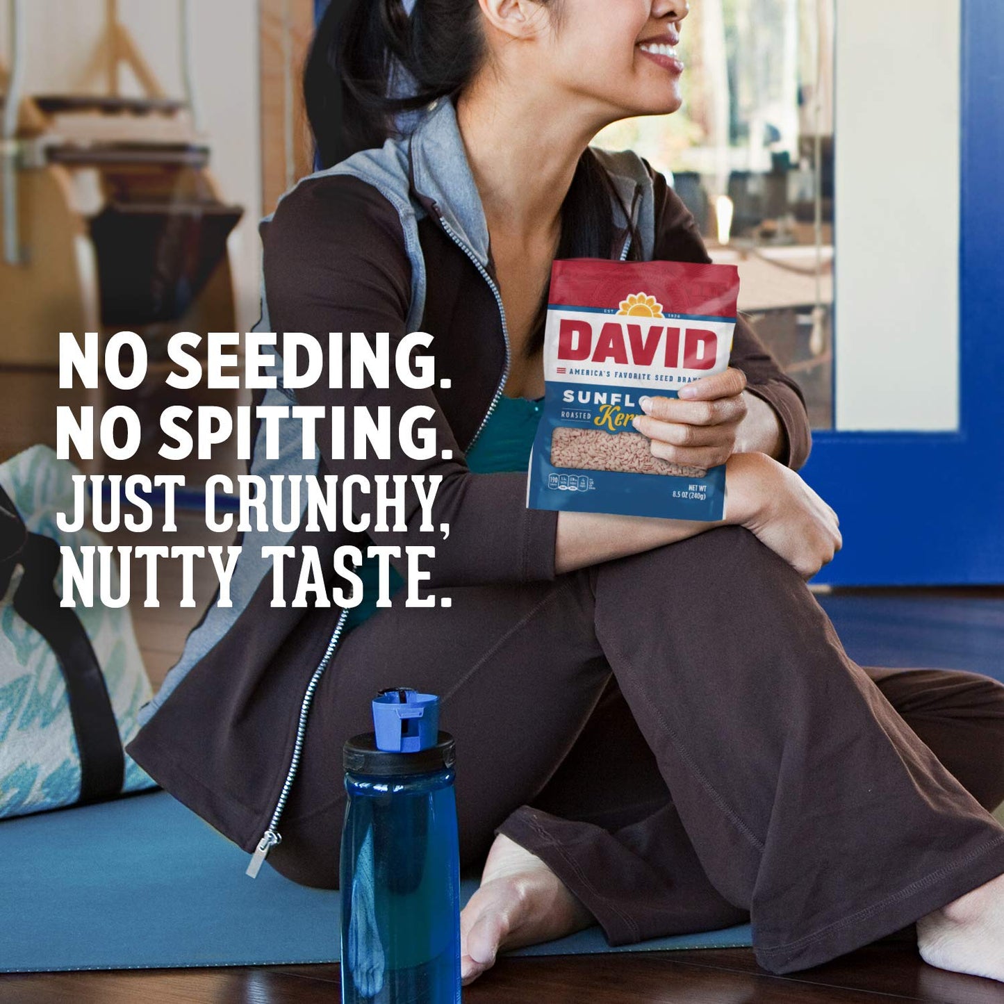 DAVID Seeds Salted and Roasted Sunflower Kernels, Keto Friendly Snack, 8.5 OZ Bags, 12 Pack