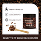 Orgfun Premium Mushroom Coffee With 7 Superfood Mushrooms, Great Tasting Arabica Instant Coffee, Includes Chaga, Lion'S Mane, Re