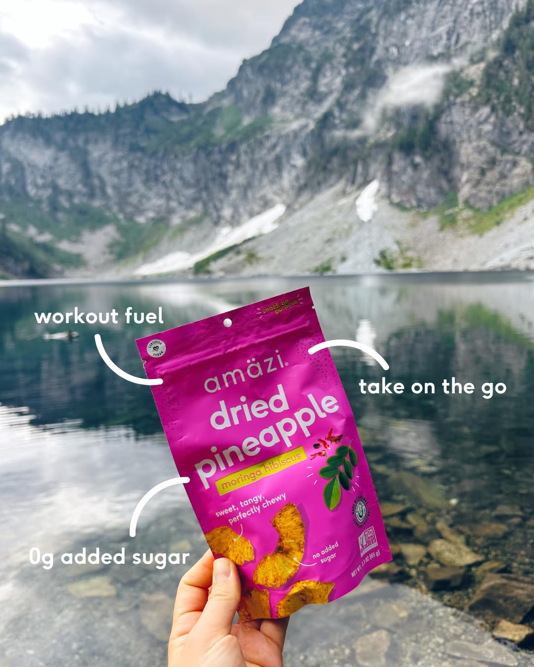 Amzi Foods | Dried Pineapple - Moringa Hibiscus (6 Pack) | All Natural Snacks | No Sugar Added Dried Pineapple | Dehydrated Frui