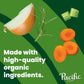 Pacific Foods Organic Chicken Bone Broth, Unsalted, 32 oz Carton
