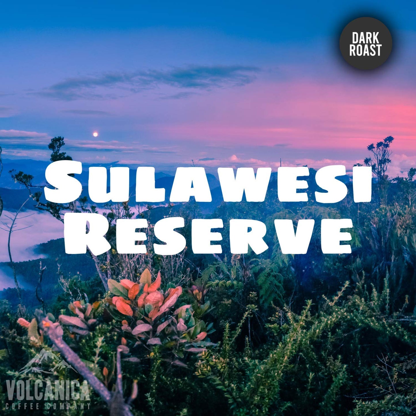 Sulawesi Reserve Coffee, Celebes Kalossi, Dark Roast, Ground, Fresh Roasted, 5 lbs