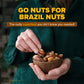 Urban Platter Exotic Raw Brazil Nuts | 3.53 Oz (100G) | Natural, Organic, Fresh, Shelled & Unsalted | Crunchy, Delicious & Healthy Party Snack | Ideal For Gift Giving, Dessert Or Baking
