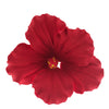 Global Sugar Art Hibiscus Sugar Cake Flowers, Red, Hawaiian Cake Flower Large 3 Count By Chef Alan Tetreault