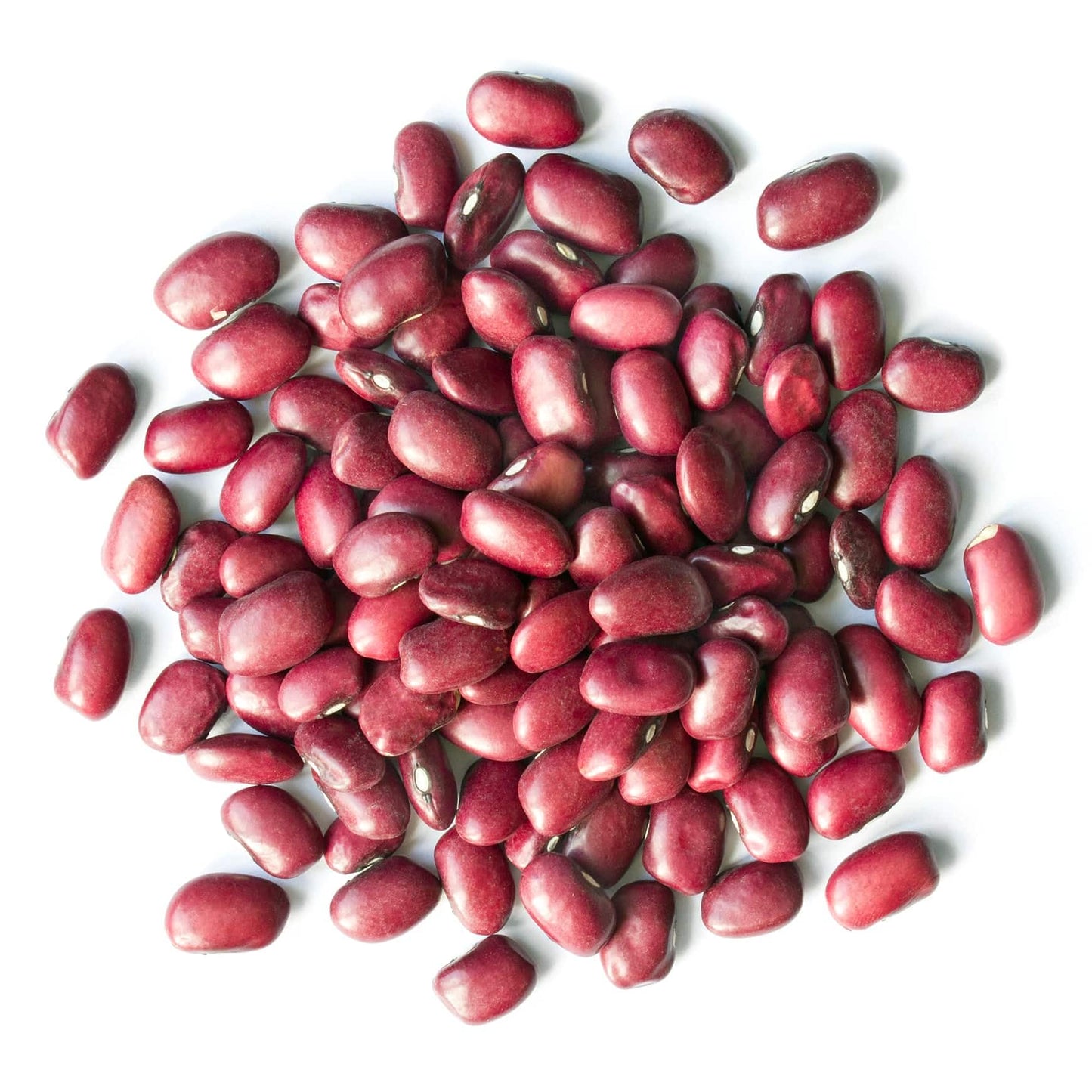 Food To Live - Adzuki Beans, 20 Pounds Whole Dried Azuki Beans (Red Mung Beans), Raw, Vegan, Kosher, Sproutable, Bulk. Rich In M