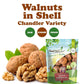 Food To Live Jumbo Walnuts In Shell, 4 Pounds - California Chandler Variety. Rich In Omega-3S And Antioxidants. Keto-Friendly, F