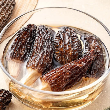 Dried Morel Mushrooms (Morchella Conica), 2 Oz Morel Mushrooms Dehydrated Delicacies Nourishing Morchella ConicaShipping From