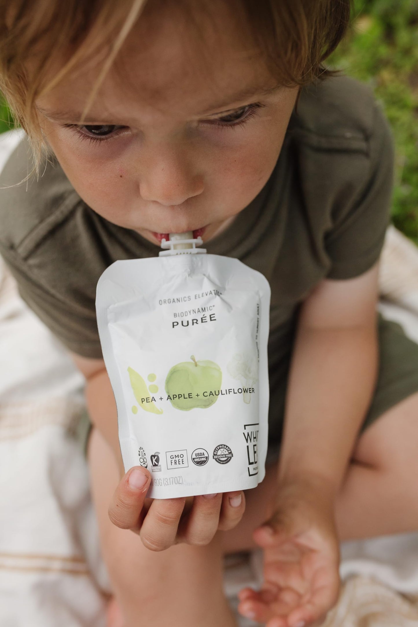 White Leaf Provisions Organic Baby Food Pouches - USDA, GMO & BPA Free Squeezable Toddler Snacks - 24 x 90 grams (24 Pouches, Pe