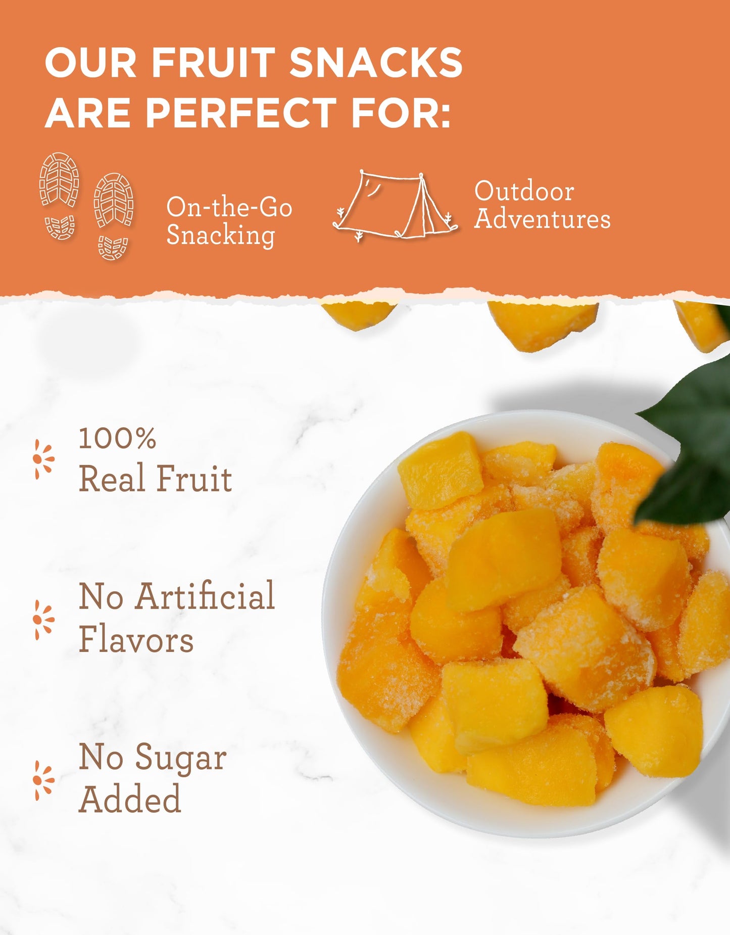 ReadyWise Freeze Dried Mangoes, Vegetarian, Gluten Free, 1.05 Ounce, Model SK02-011