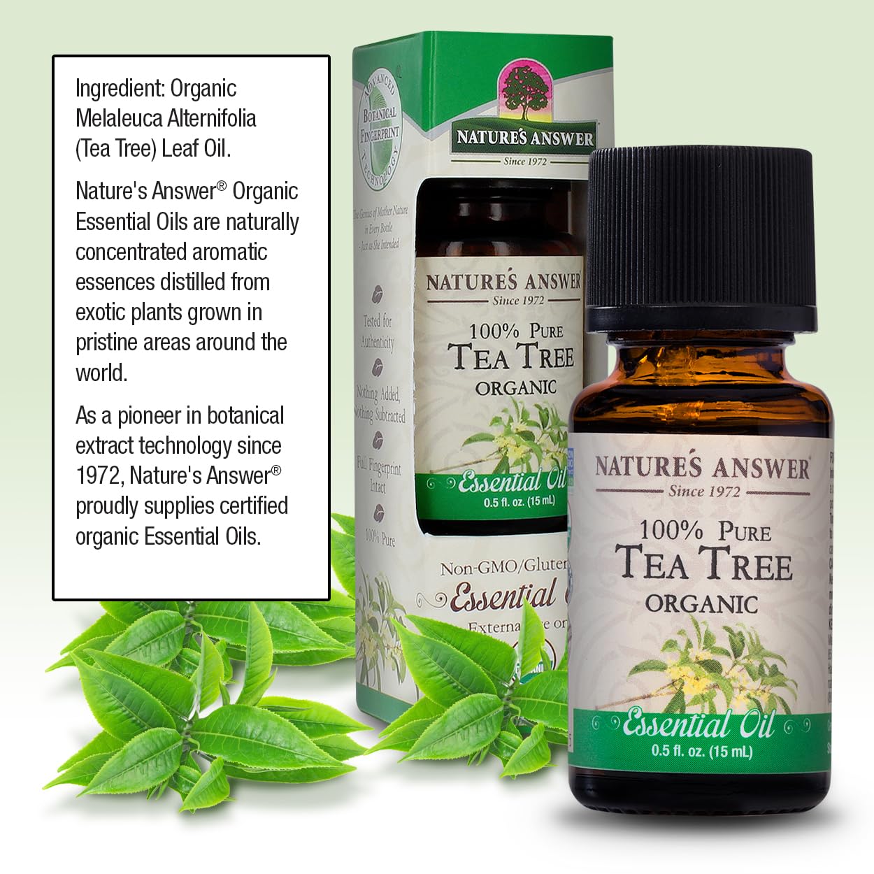 Nature’S Answer Usda Organic Tea Tree Essential Oil, 100% Pure | Natural Aromatherapy Oil For Diffuser/Humidifier, Steam Distilled 0.5 Fl Oz. (15Ml) | Made In Usa