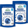 Natierra Premium Freeze-Dried Blueberries | Non-GMO & Vegan Blueberry | 0.7 Ounce (Pack of 2)