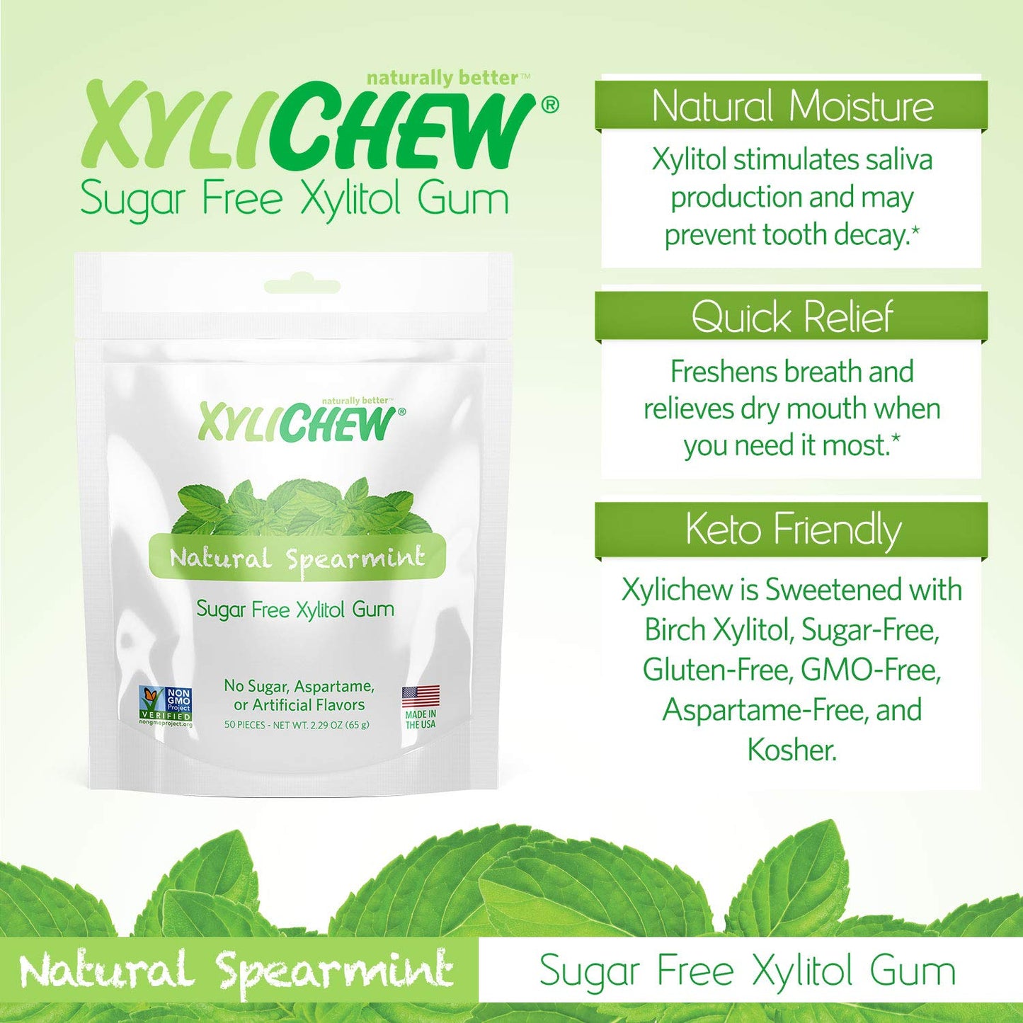 Xylichew Chewing Gum - 100% Xylitol, Non-GMO, Sugar-Free, Spearmint - 288 Count