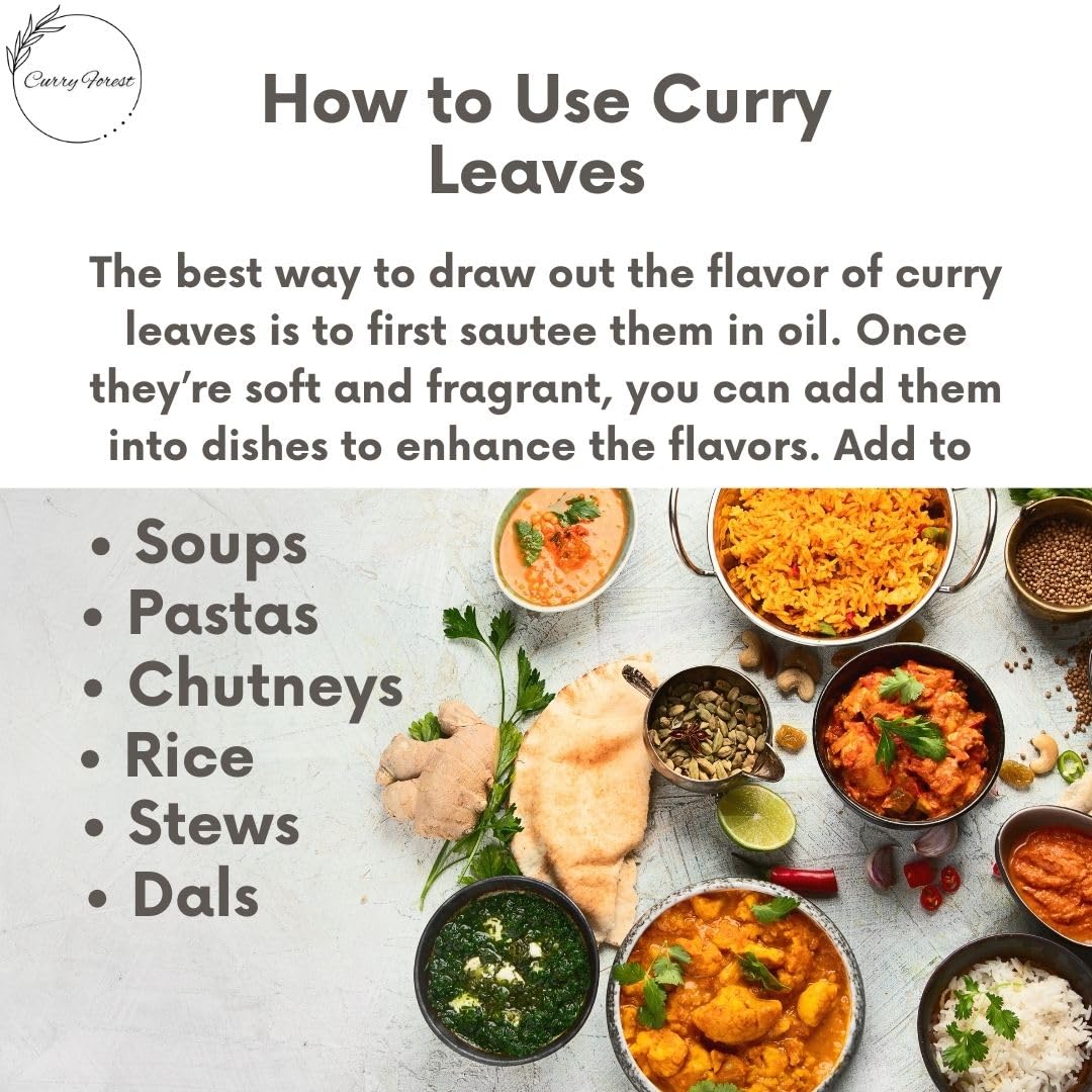Curry Forest Dried Curry Leaves | 100% Naturally Grown | 10-15 g | Small Size | Product of USA