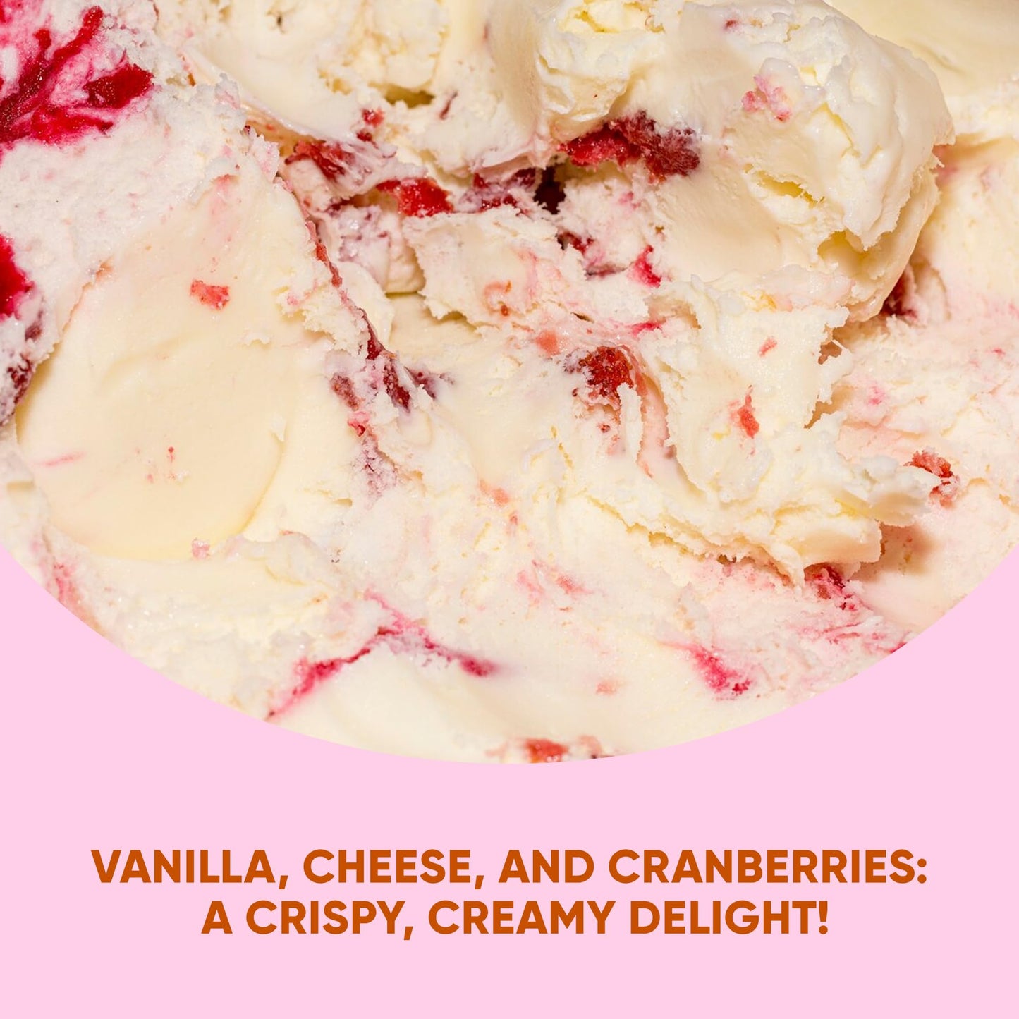 Star Candies Freeze Dried Ice Cream Hard Cheese With Cranberries | No Melting Freeze Dried Candy | Crunchy Camping Food | Premiu