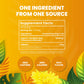 Cederberg Organic Dandelion Root Tea - 100 Tea Bags, Eco-Friendly, Non-GMO, Caffeine Free, 1 Count