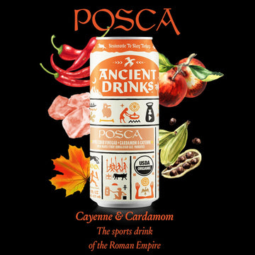 ANCIENT DRINKS Apple Cider Vinegar Beverage with Electrolytes & Probiotics, Organic, 16 fl oz, Posca (Cayenne & Cardamom) -