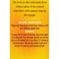 Stash Tea Ginger Lemon Tea - 20 ct