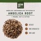 MONTEREY BAY HERB CO Angelica Root, Cut & Sifted, 1 lb for Baking & Tea Blends