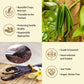 Grelim 12 Madagascar Vanilla Beans New Season Grade A Whole Vanilla Pods Great For Vanilla Extract And Baking
