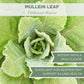 ELANEN naturals Organic Mullein Leaf Tea, Cut & Sifted, 2 oz (57g), USDA Certified Organic