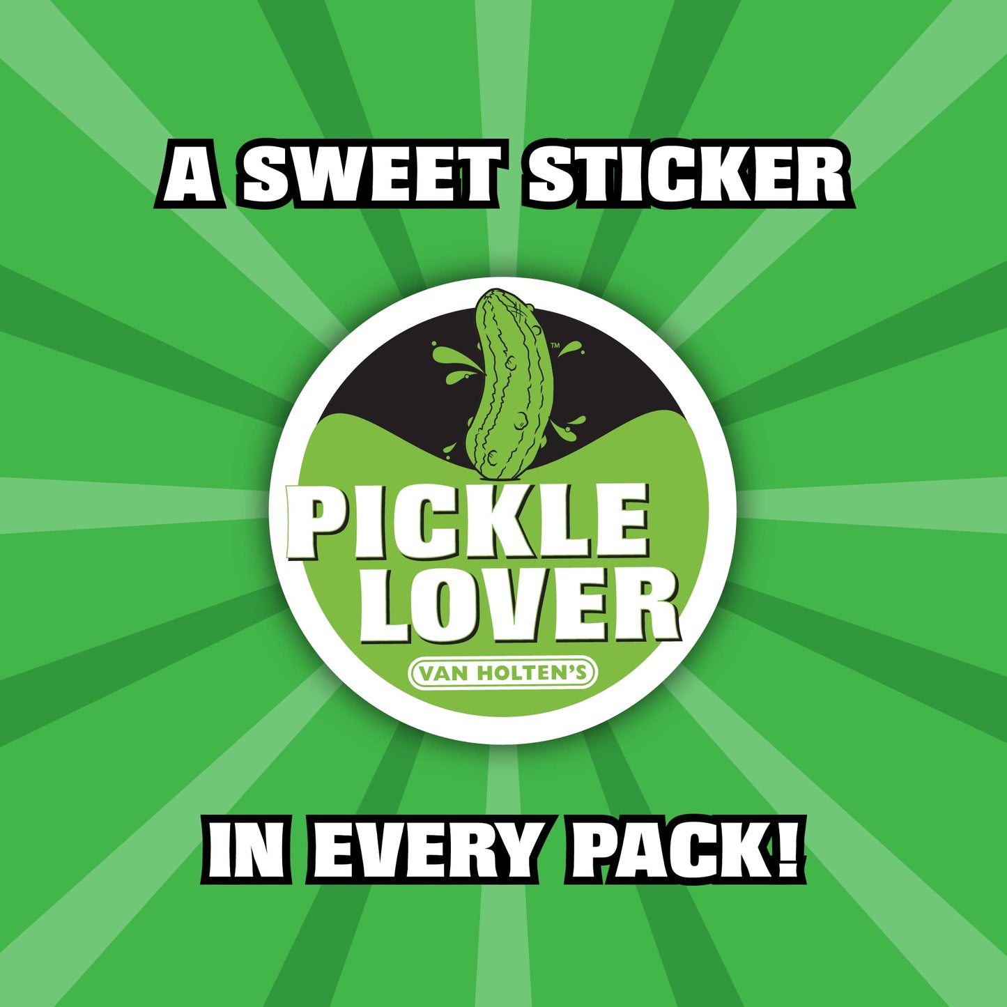 Van Holtens Pickles Jumbo Dill Pickle-In-A-Pouch, 12 Pack, 4 Ounce Each