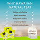 Hawaiian Natural Tea Passion Fruit Orange Flavored Organic Tea - Tropical Fruit Green Tea Blend With Black Tea - Perfect Daily C
