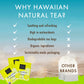 Hawaiian Natural Passion Fruit Orange Flavored Organic Tea - Tropical Fruit Green & Black Tea Blend, Perfect Daily Cup & Gift -