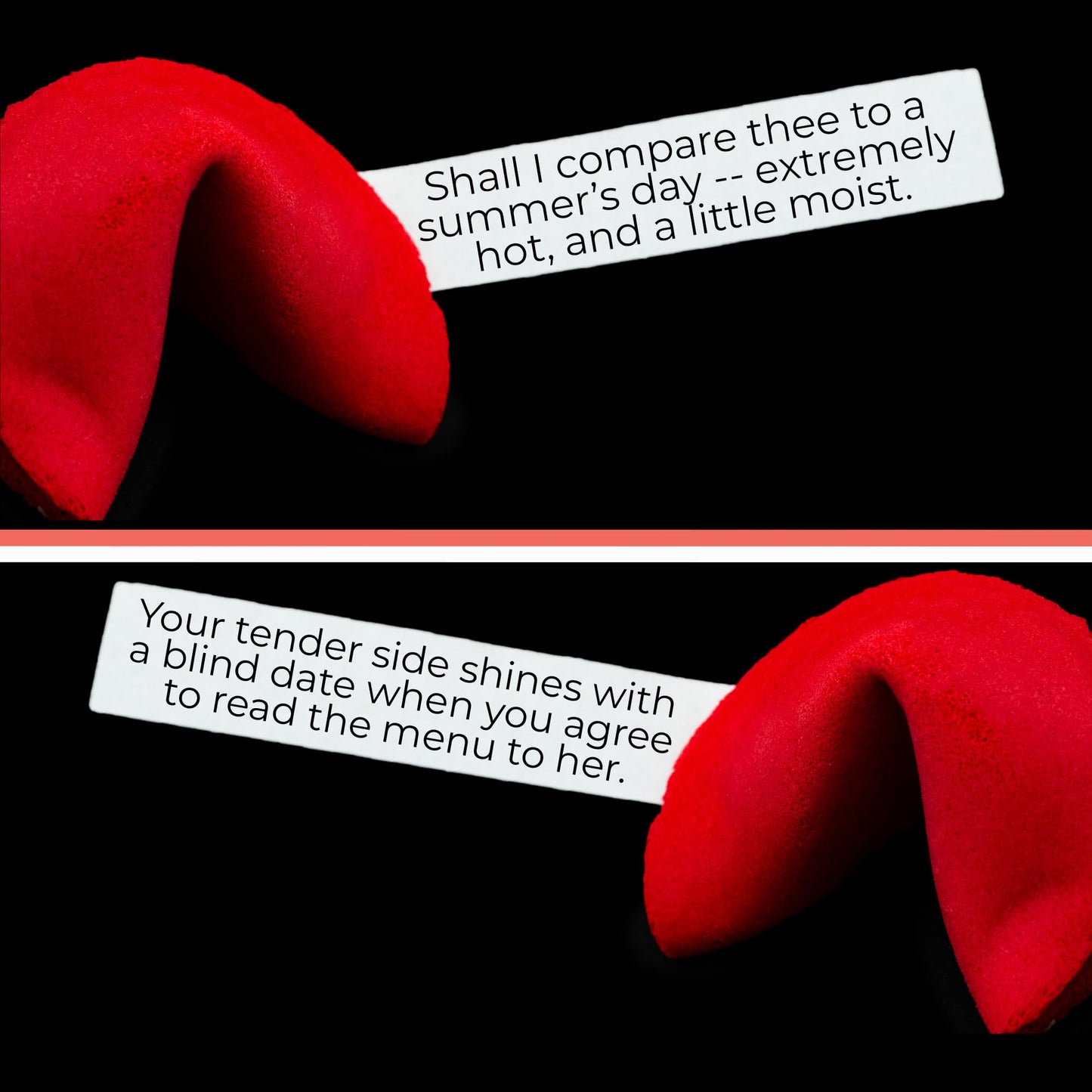 MISS FORTUNES Funny Fortune Cookies - Multi-Pack of 2 Dozen, Dirty + Humanity, Model: Dirty+Humanity FBA