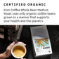 Kion Organic Whole Bean Coffee, Tested for Toxins, Ethically Sourced, Rich, Bold, and Smooth, Medium Roast 12 Oz (1 Pack)