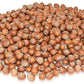 Anna and Sarah Large Oregon Hazelnuts in Shell (2.5 Lbs)