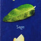 Paxo Sage And Onion Stuffing, 85G (Pack Of 8)
