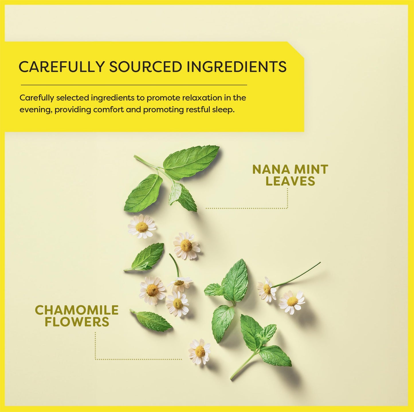 Wissotzky Chamomile Tea with Nana Mint, Herbal, Caffeine Free, 20 Count, Model 603741001253