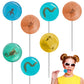Fruidles Sugar-Free Lollipops, Assorted Flavors, Individually Wrapped, 20-Pack