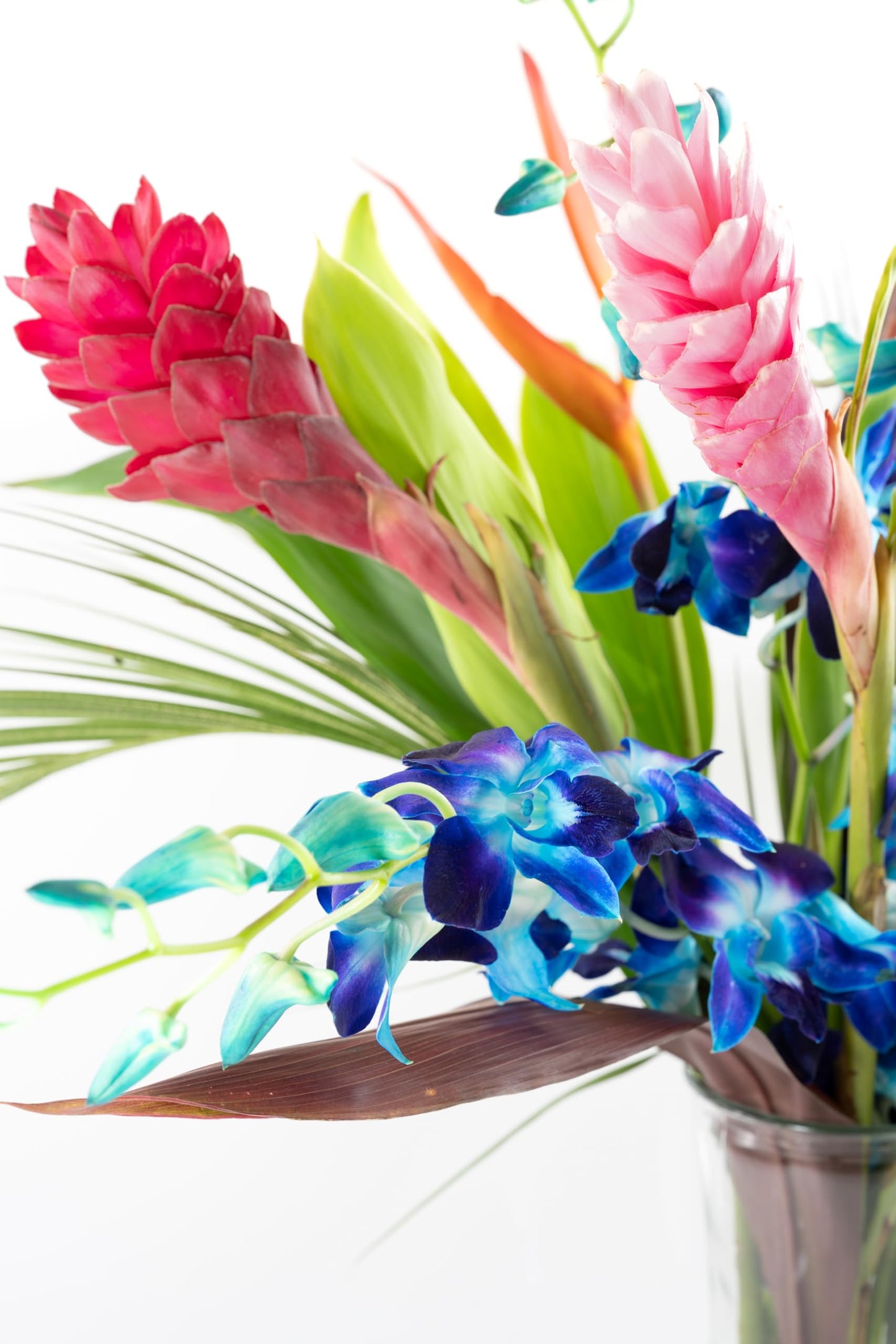 Fresh Orchids And Tropical Flower Bouquet, Perfect For Birthdays, Easter, Mother 'S Day, Anniversaries, Gifts, Etc. (Multicolor