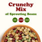Crunchy Mix Of Sprouting Bean Seeds, 15 Pounds - Green Peas, Adzuki, Lentils, Garbanzo, Kosher, Raw