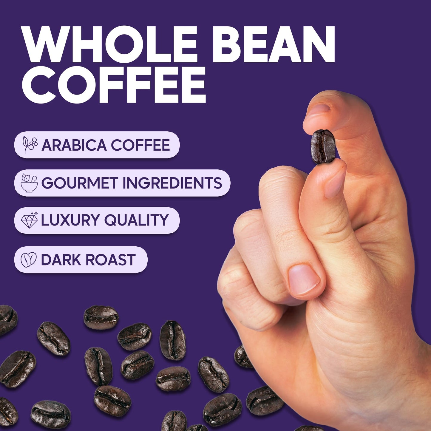 Sarasota Coffee Whole Bean Cubano European French Roast | Dark Roast Gourmet Coffee Beans | Low Acid, Mold Free, Specialty Grade
