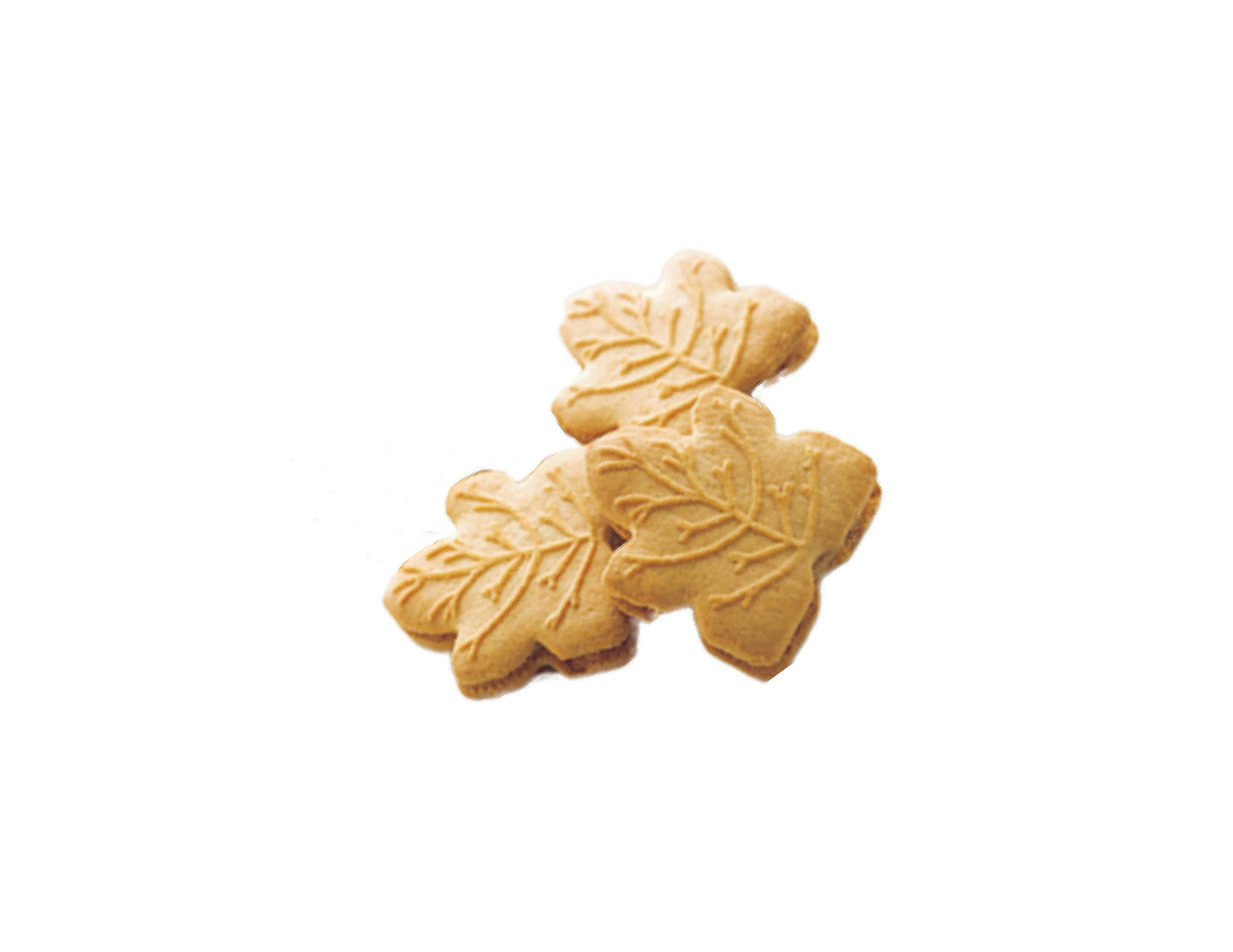 Canada True Maple Cream Cookies, 48 Cookies (2 Packs) - 100% Real Canadian Maple Syrup, 700g Total, Perfect Snack Treat