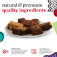 DAVIDS COOKIES Brownies Sweet Sampler Tin – 6 Rich Fudgy Slices, Individually Wrapped Gourmet   for Birthdays and All Occasions