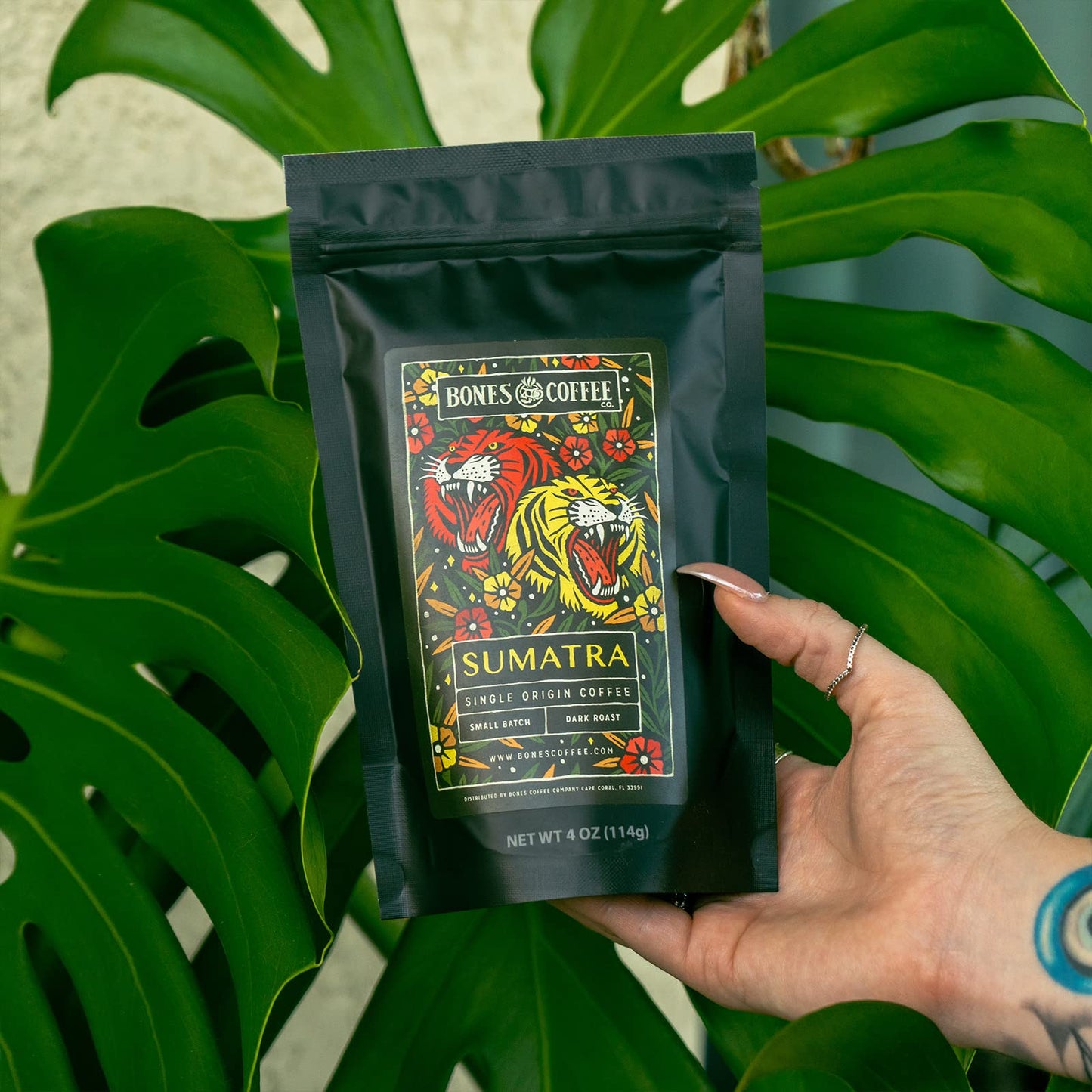 Bones Coffee Company New World Tour Bundle Ground Coffee Beans | Gift Box Set With Specialty Coffee Mug | 4 Oz Pack Of 5 Assorte