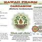 Hawaii Pharm Organic Cardamom Glycerite Liquid Extract 2 Fl Oz Glass