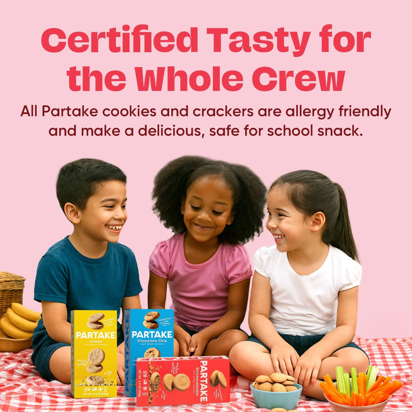 Partake Foods Gluten Free Soft Baked Cookies Variety Pack (Chocolate Chip, Snickerdoodle, Lemon) - Vegan - Free From the Top 9 A