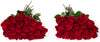 Benchmark Bouquets - 50 Stems of Red Roses (Vase Not Included) - Fresh Flowers for Delivery - Gift for Easter, Mothers Day, Birt