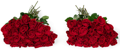 Benchmark Bouquets - 50 Stems of Red Roses (Vase Not Included) - Fresh Flowers for Delivery - Gift for Easter, Mothers Day, Birt