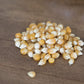 Amish Country Popcorn | 6 Lb Bag | Popcorn Kernels | Small And Tender | Old Fashioned, Non-Gmo And Gluten Free (6 Pound (Pack Of