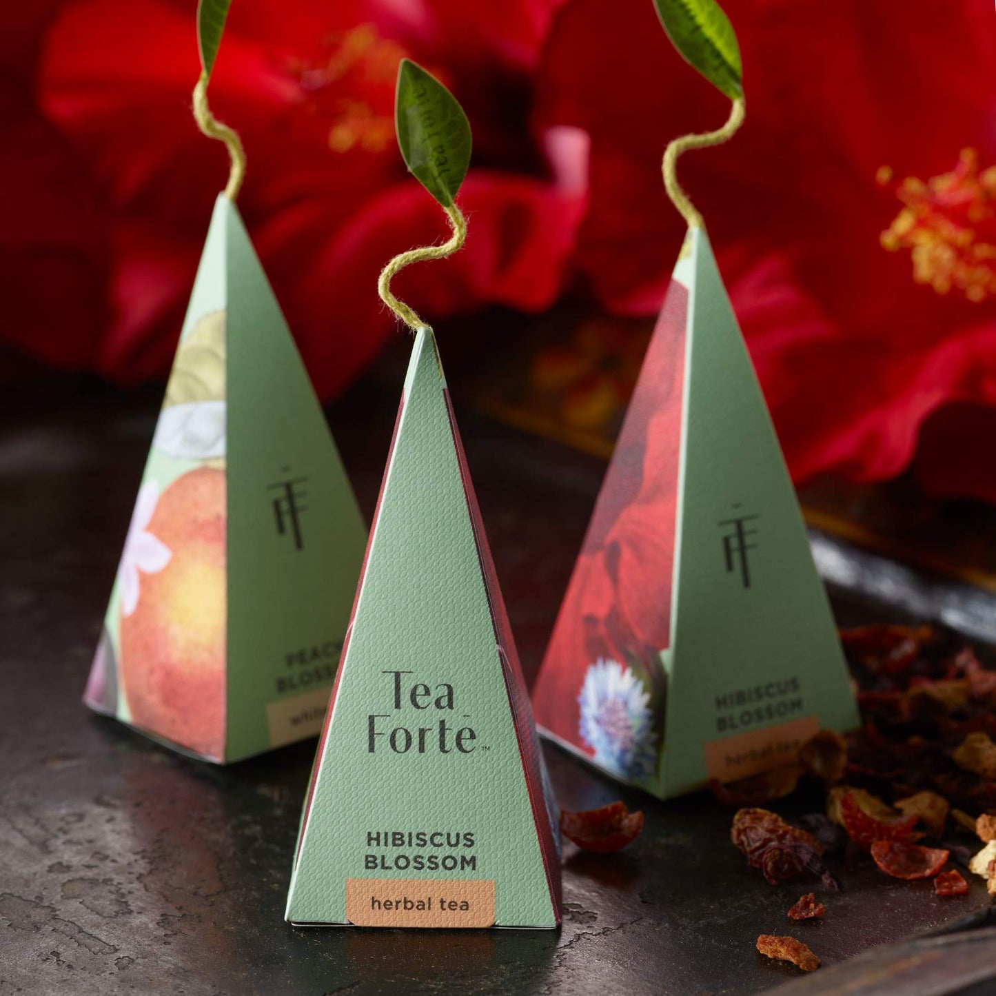 Tea Forte Tea Gift Set Sampler, 10 Count, Handcrafted Pyramid Infuser Bags, 2 of Each Variety, Individually Wrapped