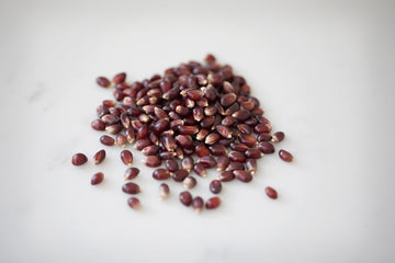 Amish Country Popcorn | 25 Lbs Bag | Red Popcorn Kernels | Old Fashioned, Non-Gmo And Gluten Free (Red - 25 Lbs Bag)