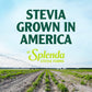 Splenda Stevia Liquid Zero Calorie Sweetener Drops, 1.68 Ounce Bottle (Pack Of 1)