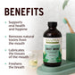Banyan Botanicals Mint Daily Swish – Organic Ayurvedic Pulling Oil With Coconut Oil – Mouthwash For Fresh Breath And Sparkling Oral Health* – 8 Oz – Non Gmo Sustainably Sourced Vegan